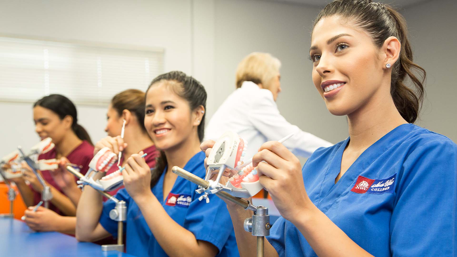 Dental Assistant Training Courses Classes And Programs Online School For Dental Assistants